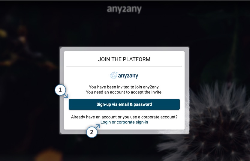 Invite Email Invite email